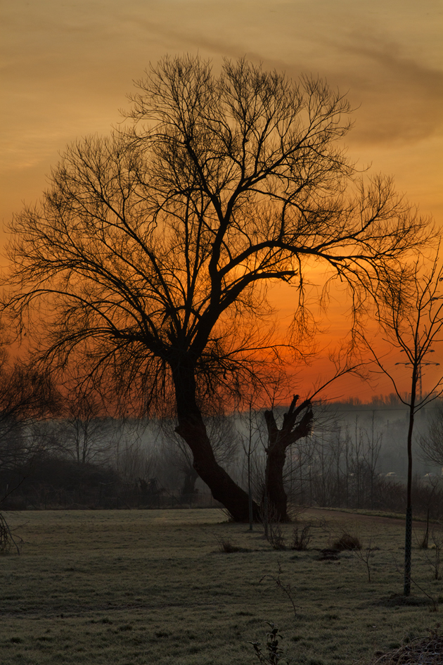 Morgenstimmung an der Saar