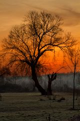 Morgenstimmung an der Saar