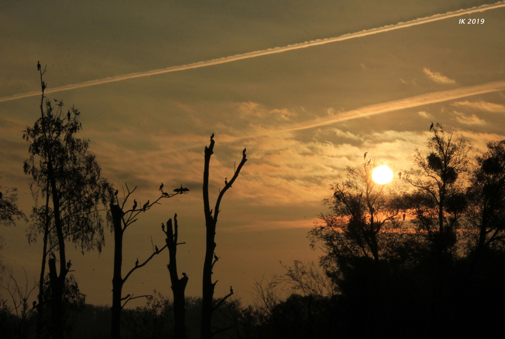 Morgenstimmung an der Uecker