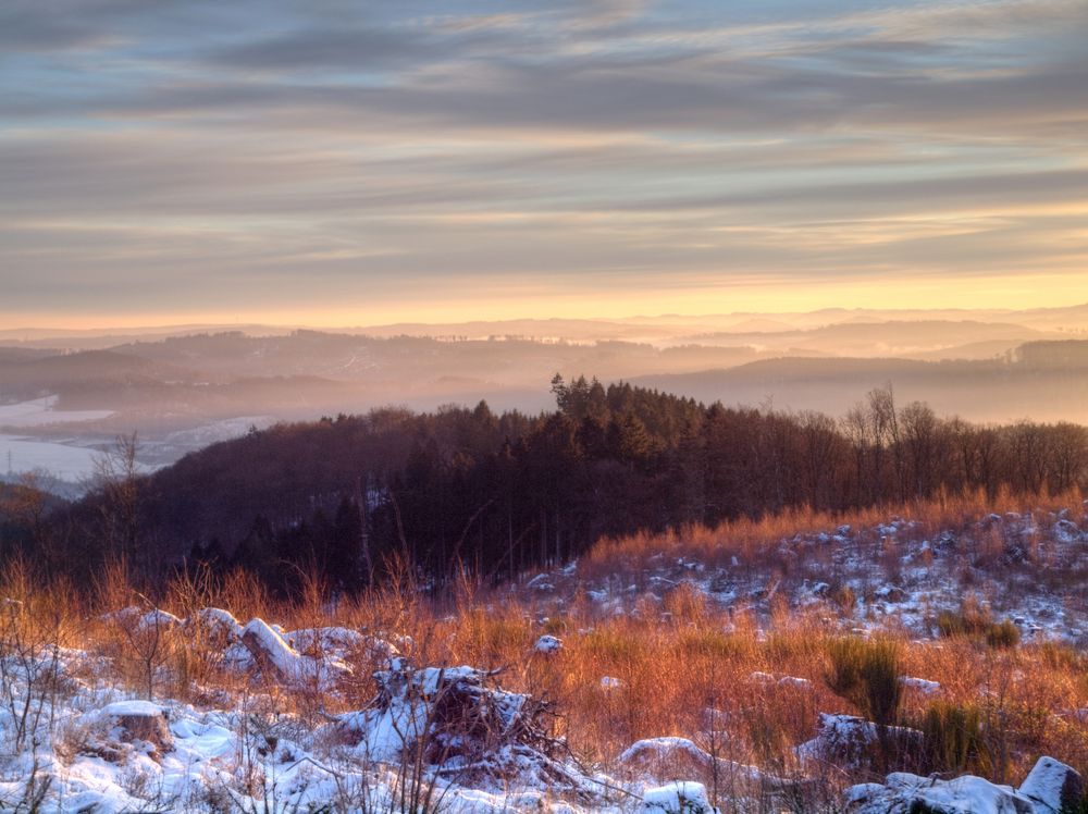 Morgenstimmung an der Waldroute in Balve