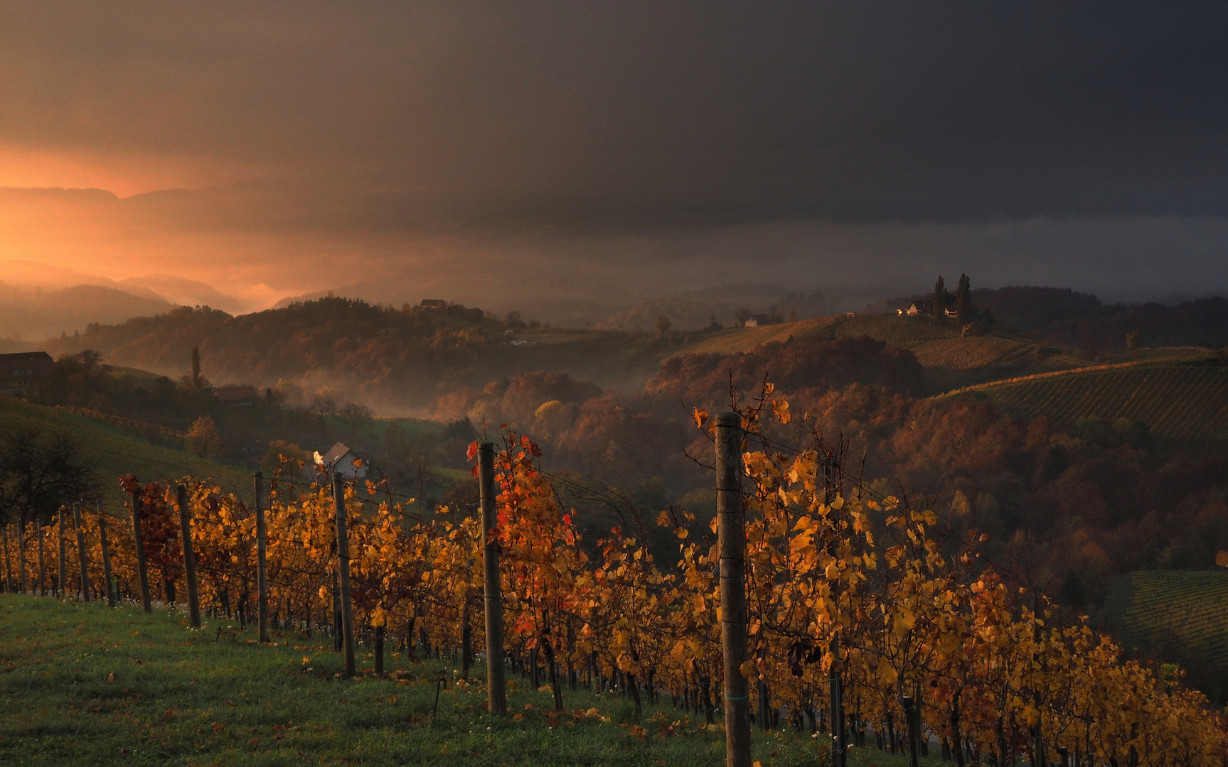 Morgenstimmung an der Weinstrasse