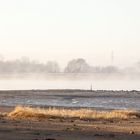 Morgenstimmung an der Weser