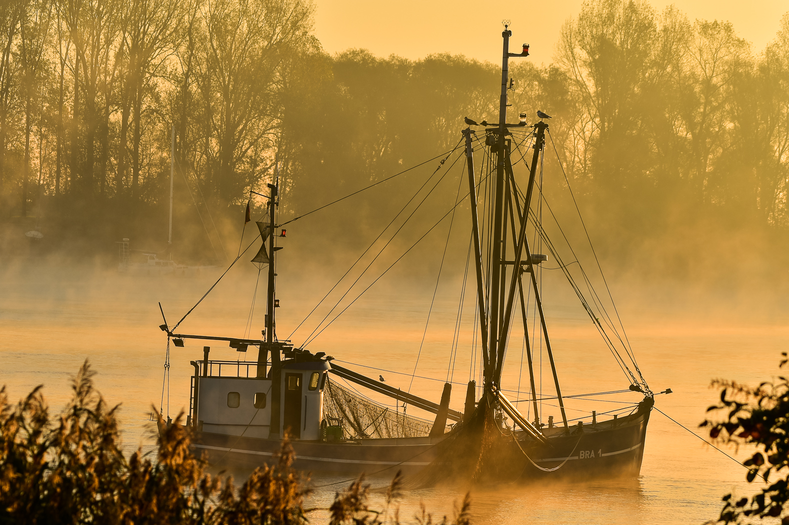 Morgenstimmung an der Weser