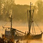 Morgenstimmung an der Weser