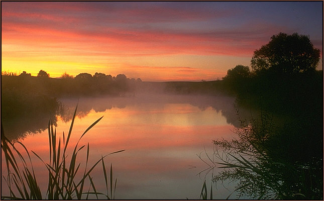 Morgenstimmung an einem kleinen Gewässer