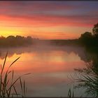 Morgenstimmung an einem kleinen Gewässer