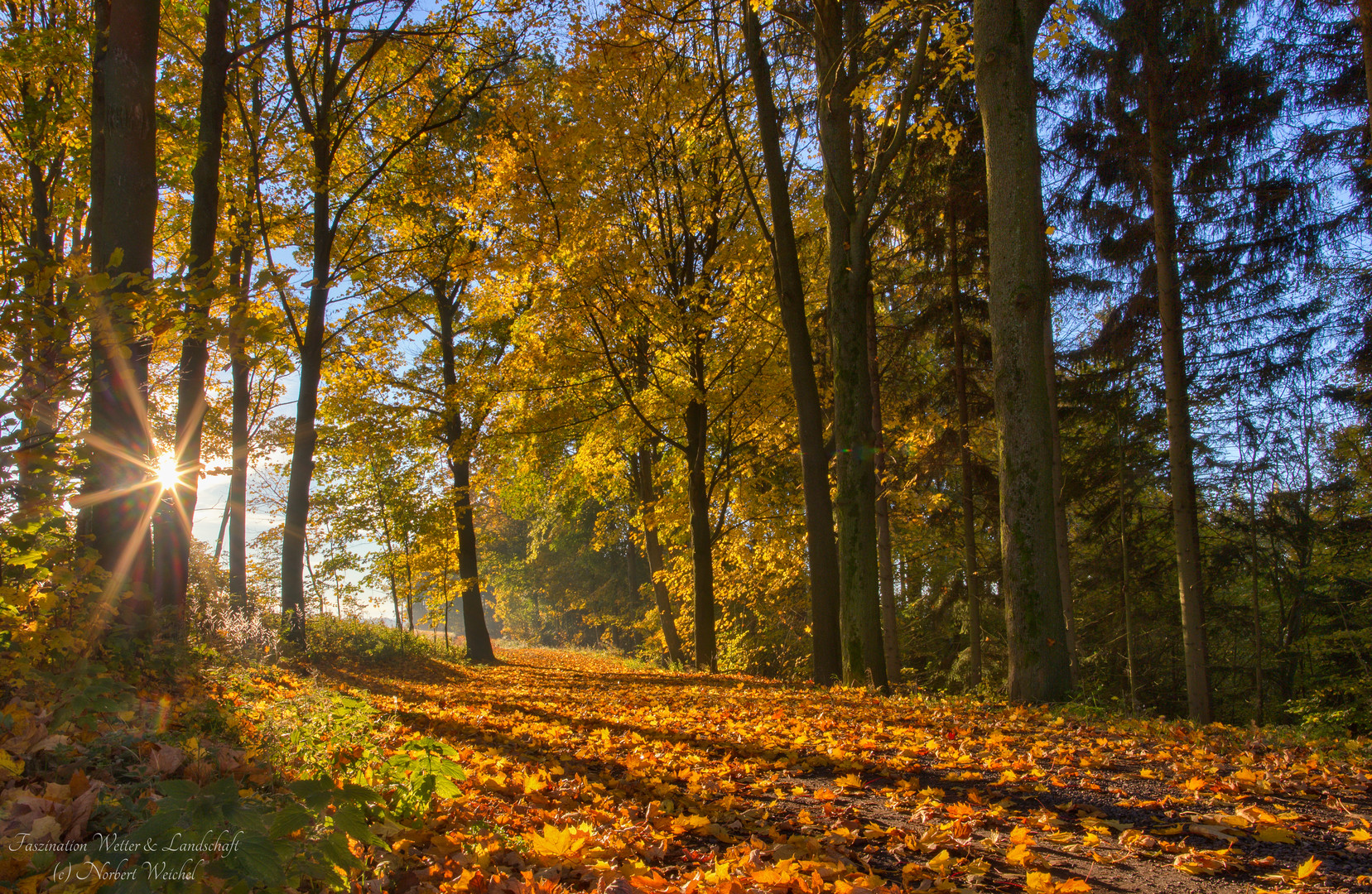 Morgenstimmung an einen schönen herbstlichen Tag