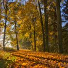 Morgenstimmung an einen schönen herbstlichen Tag