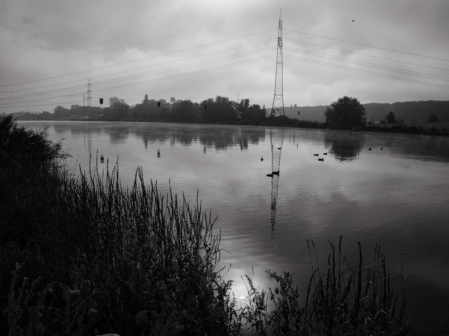 Morgenstimmung an Regattabahn Fühlinger See 02