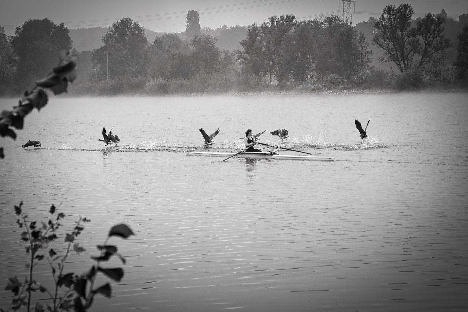 Morgenstimmung an Regattabahn Fühlinger See 03