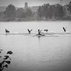 Morgenstimmung an Regattabahn Fühlinger See 03