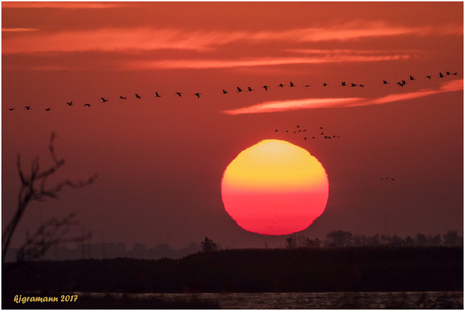 morgenstimmung auf dem bodden I ......