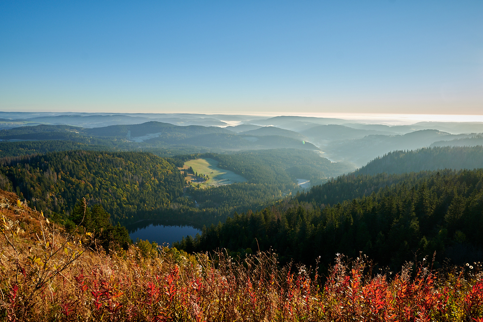 Morgenstimmung auf dem Feldberg - Morning mood at Feldberg black forrest