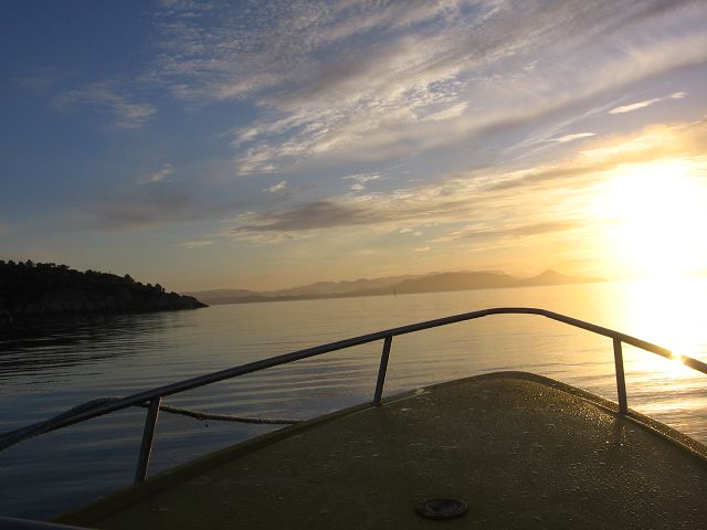 Morgenstimmung auf dem Fjord