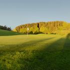 Morgenstimmung auf dem Golfplatz