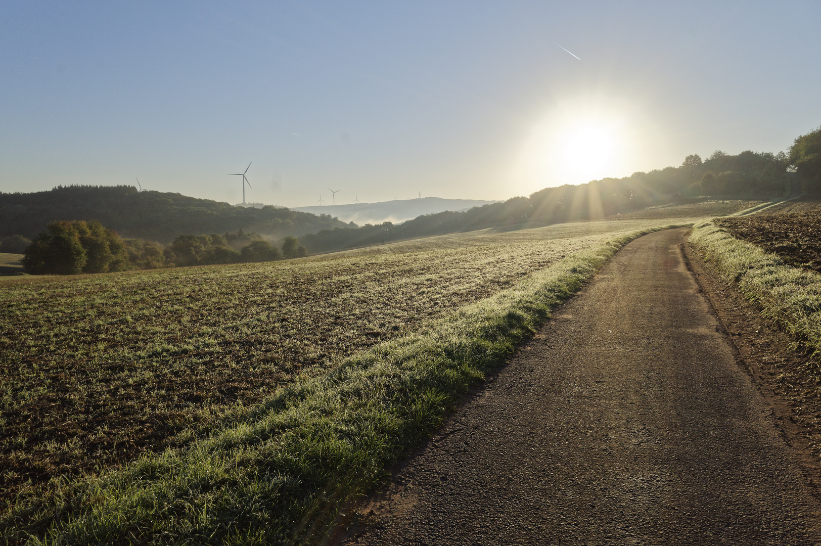 Morgenstimmung auf dem Hangarder Flur