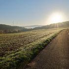 Morgenstimmung auf dem Hangarder Flur