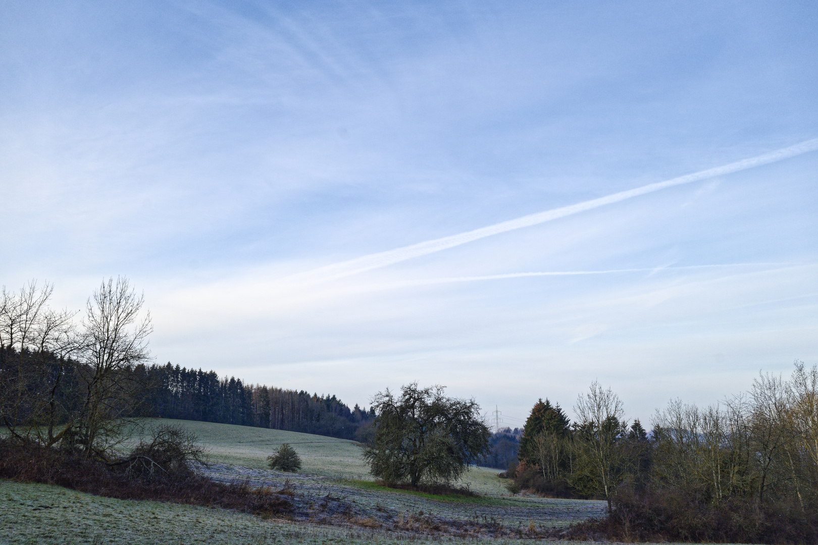 Morgenstimmung auf dem Hangarder Flur