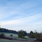 Morgenstimmung auf dem Hangarder Flur