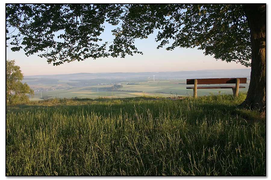 Morgenstimmung auf dem Mensfelder Kopf