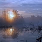 Morgenstimmung auf dem Schwenninger Moos