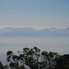 Morgenstimmung auf dem Tafelberg