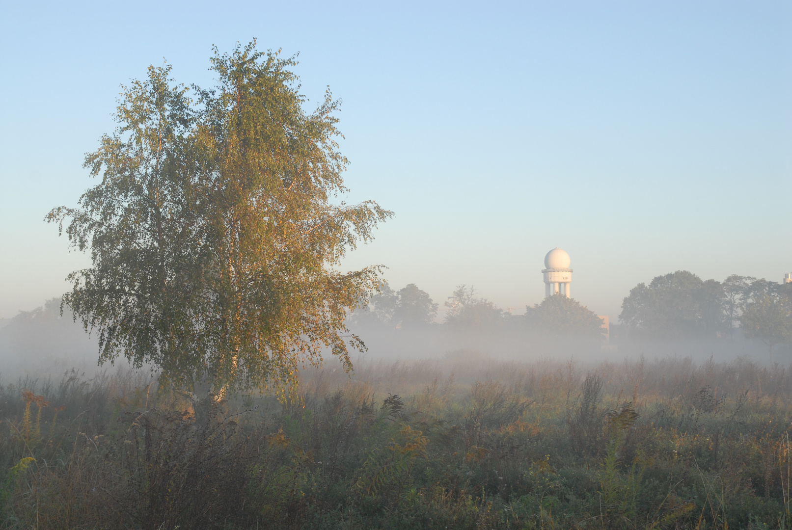 Morgenstimmung auf dem Tempelhofer Feld