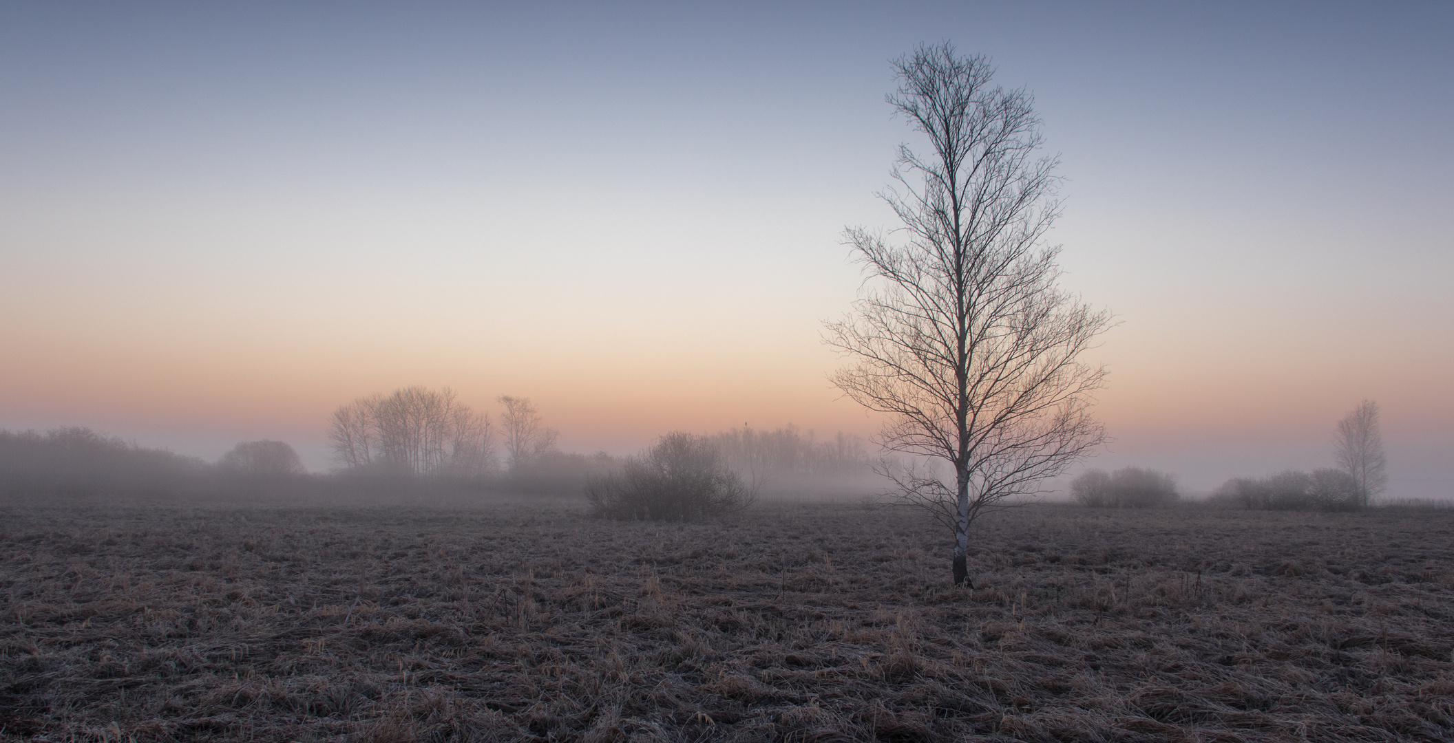 Morgenstimmung auf dem Weg zum Federsee