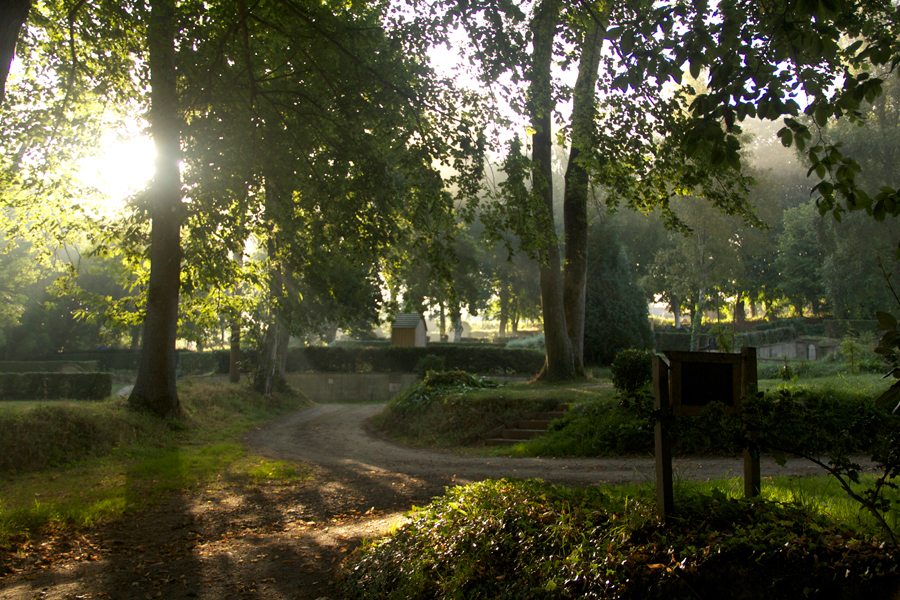 Morgenstimmung auf dem Zeltplatz II