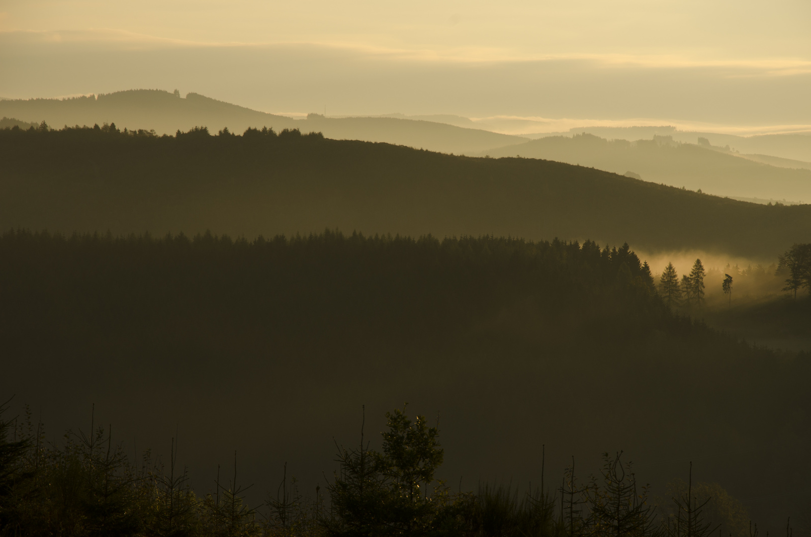 Morgenstimmung auf den Höhen des Sauerlandes (Schmallenberg-Mönekind)