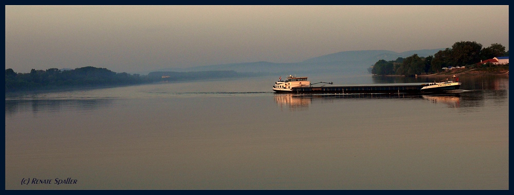 Morgenstimmung auf der Donau