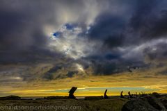 Morgenstimmung auf der Düne