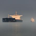 Morgenstimmung auf der Elbe