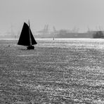 Morgenstimmung auf der Elbe