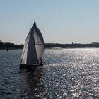 Morgenstimmung auf der Elbe Nr. 2