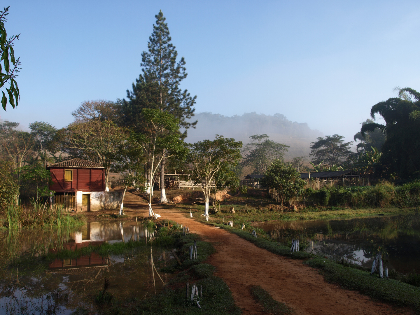 Morgenstimmung auf der Fazenda