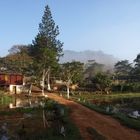 Morgenstimmung auf der Fazenda