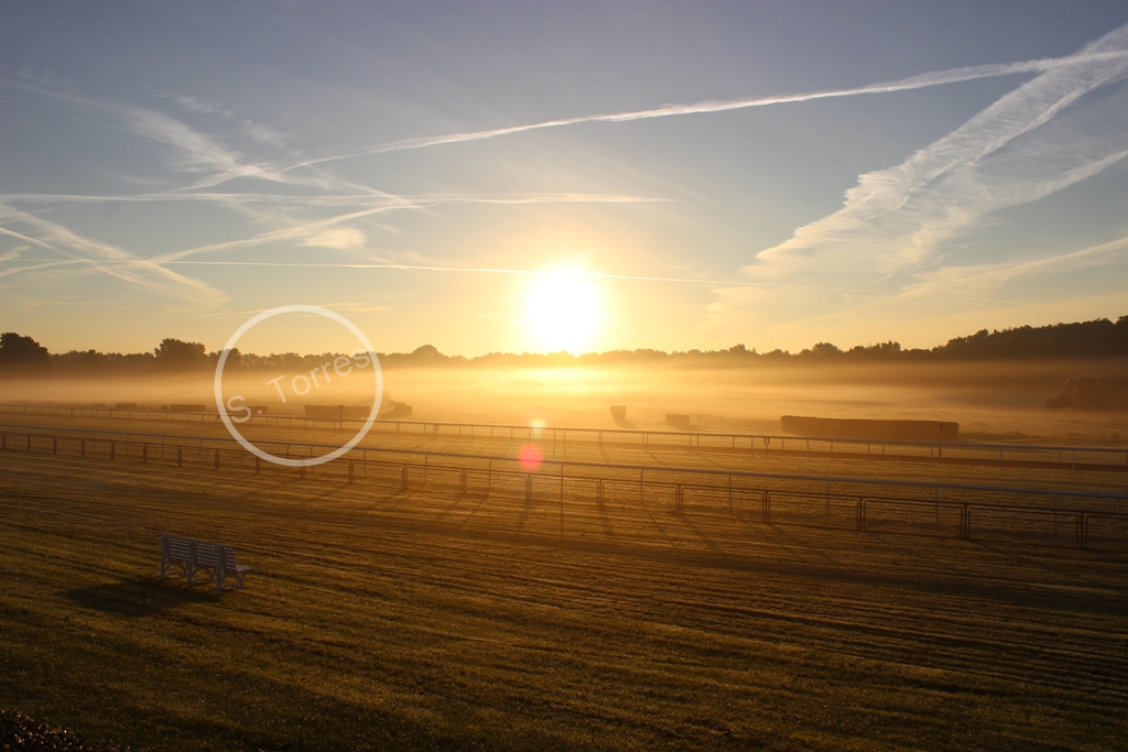 Morgenstimmung auf der Galopprennbahn Neue Bult