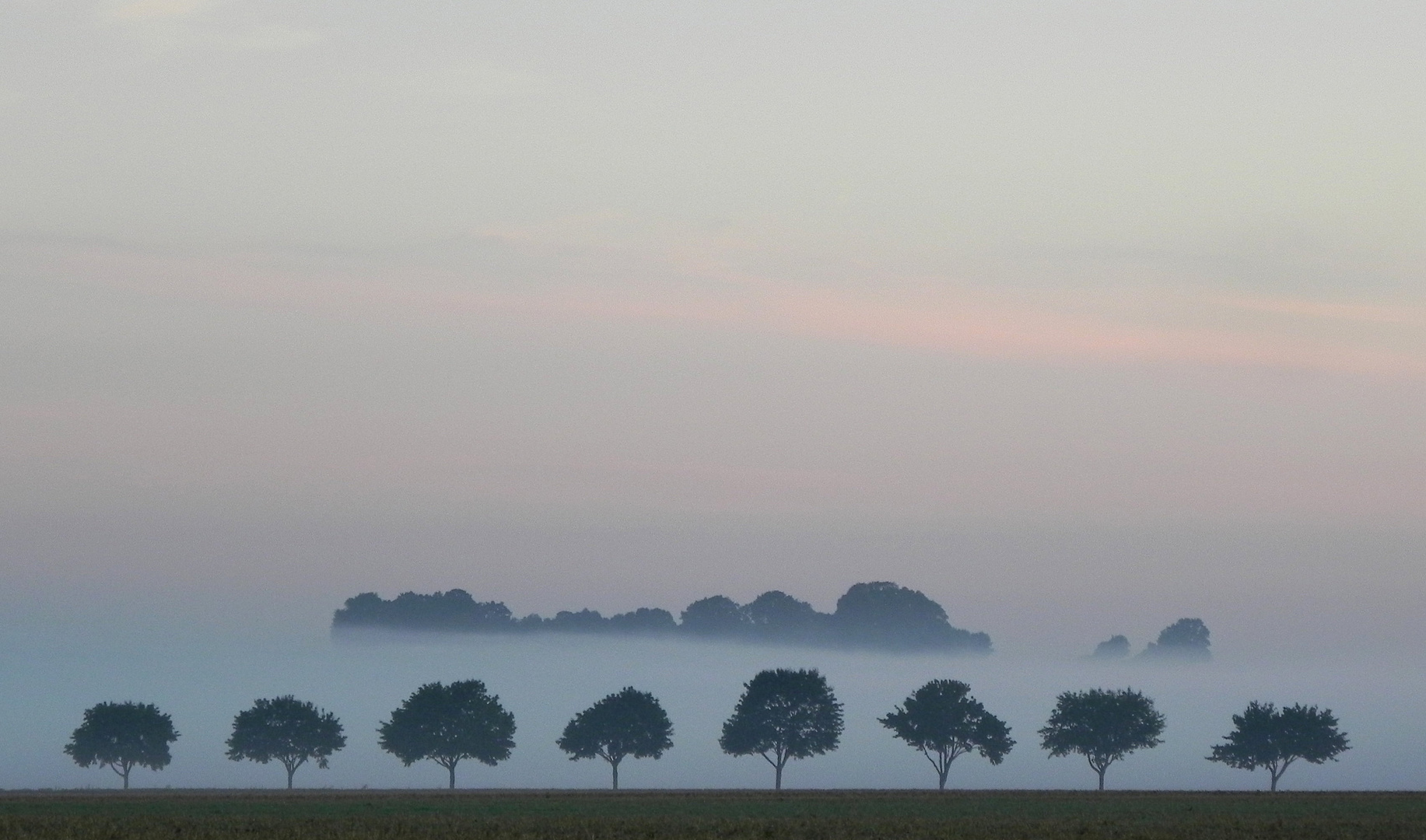 Morgenstimmung auf der Haar