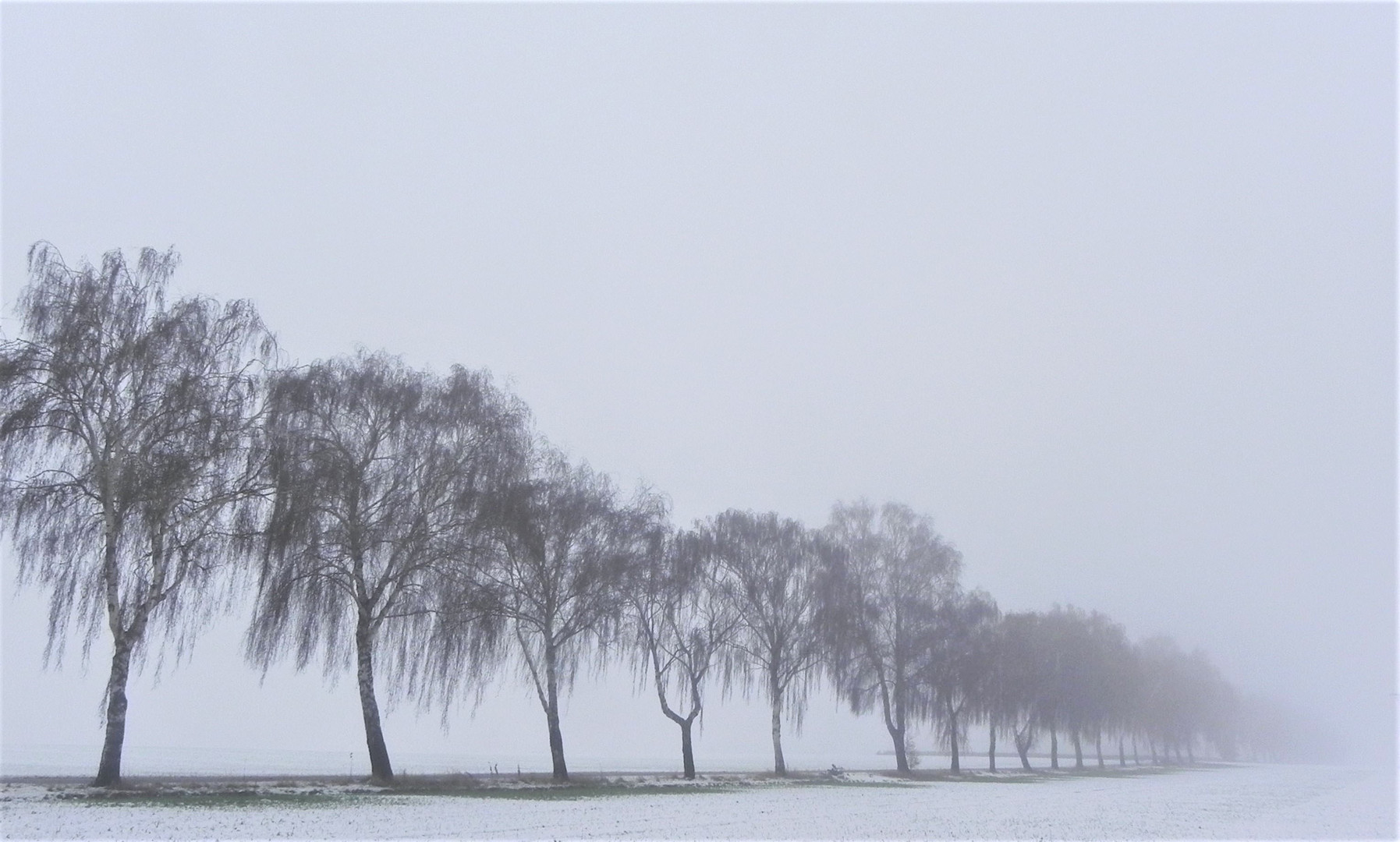 Morgenstimmung auf der Haar