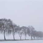 Morgenstimmung auf der Haar