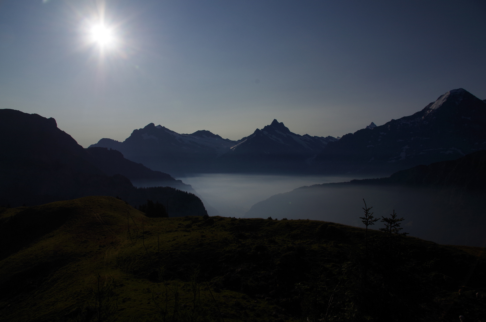 Morgenstimmung auf der Schynigen Platte