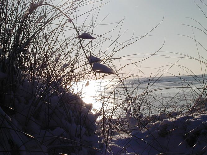 Morgenstimmung auf Föhr