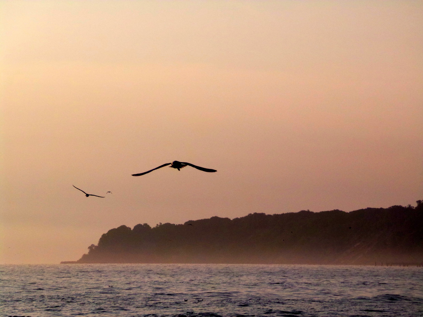 Morgenstimmung auf Rügen