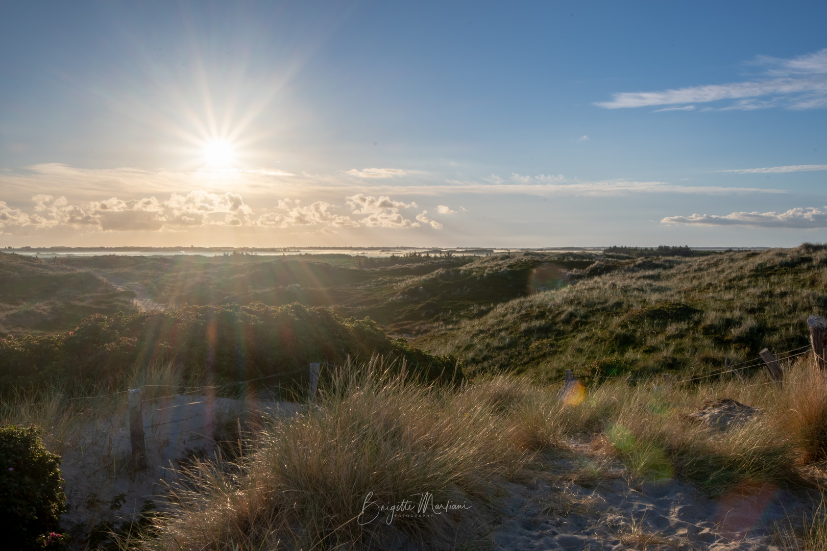 Morgenstimmung auf Sylt