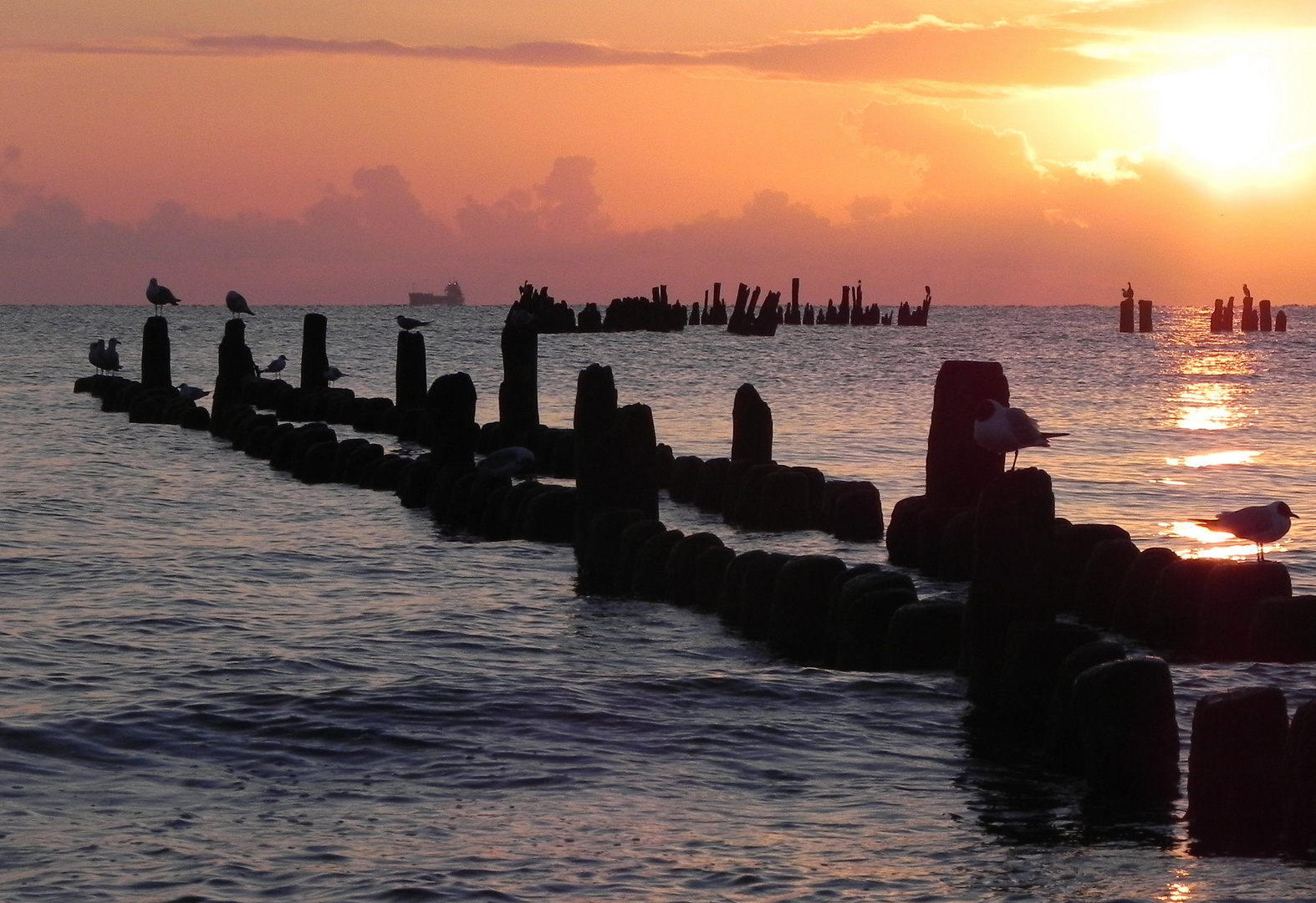 Morgenstimmung auf Usedom