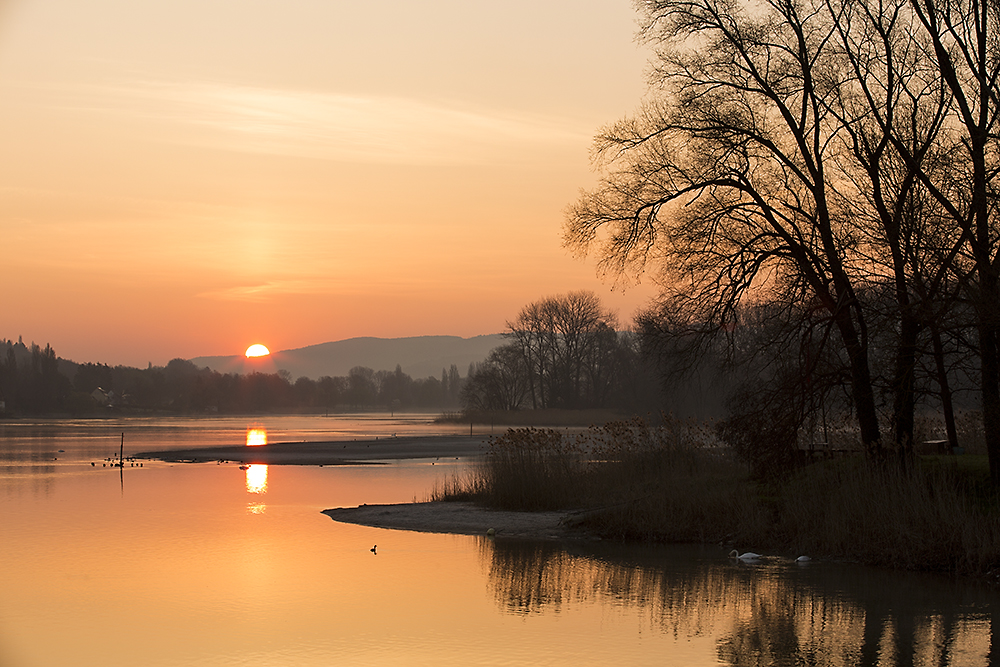 Morgenstimmung