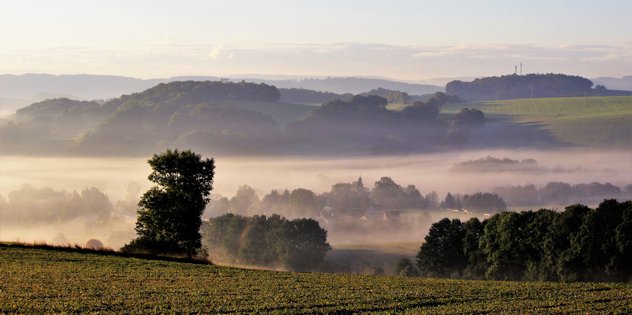 Morgenstimmung