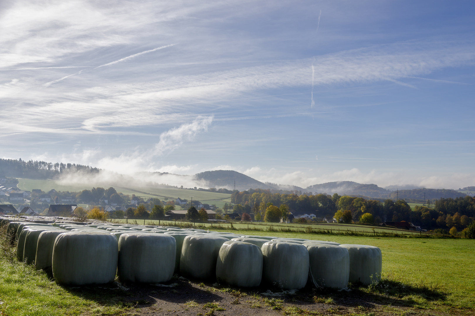 Morgenstimmung Beckumer Feld