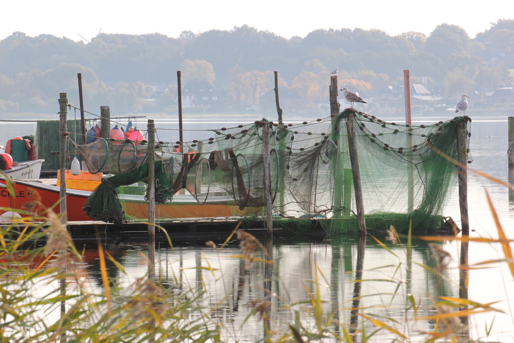 Morgenstimmung bei den Holmer Fischern